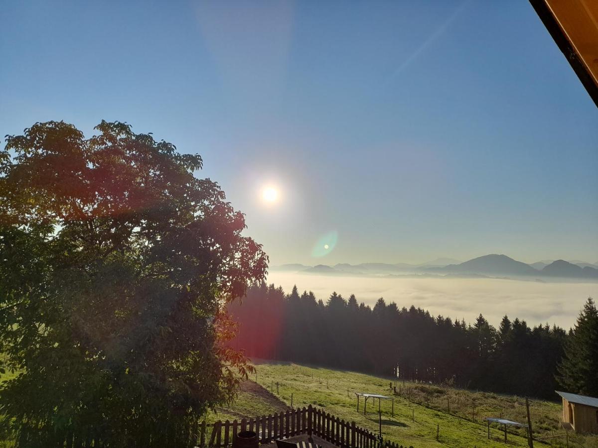 Апартаменты Miniponyhof Biohof Almbauer Вайдхофен-ан-дер-Ибс Экстерьер фото