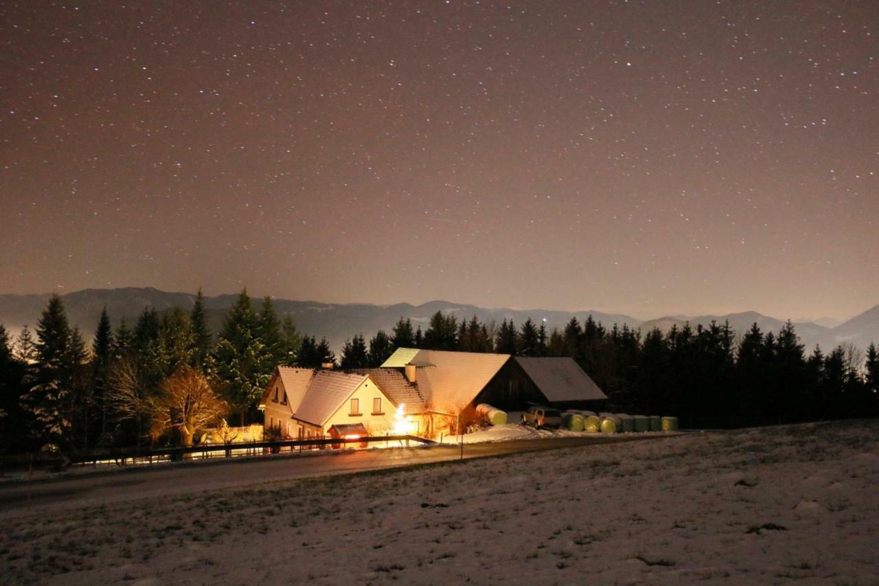 Апартаменты Miniponyhof Biohof Almbauer Вайдхофен-ан-дер-Ибс Экстерьер фото